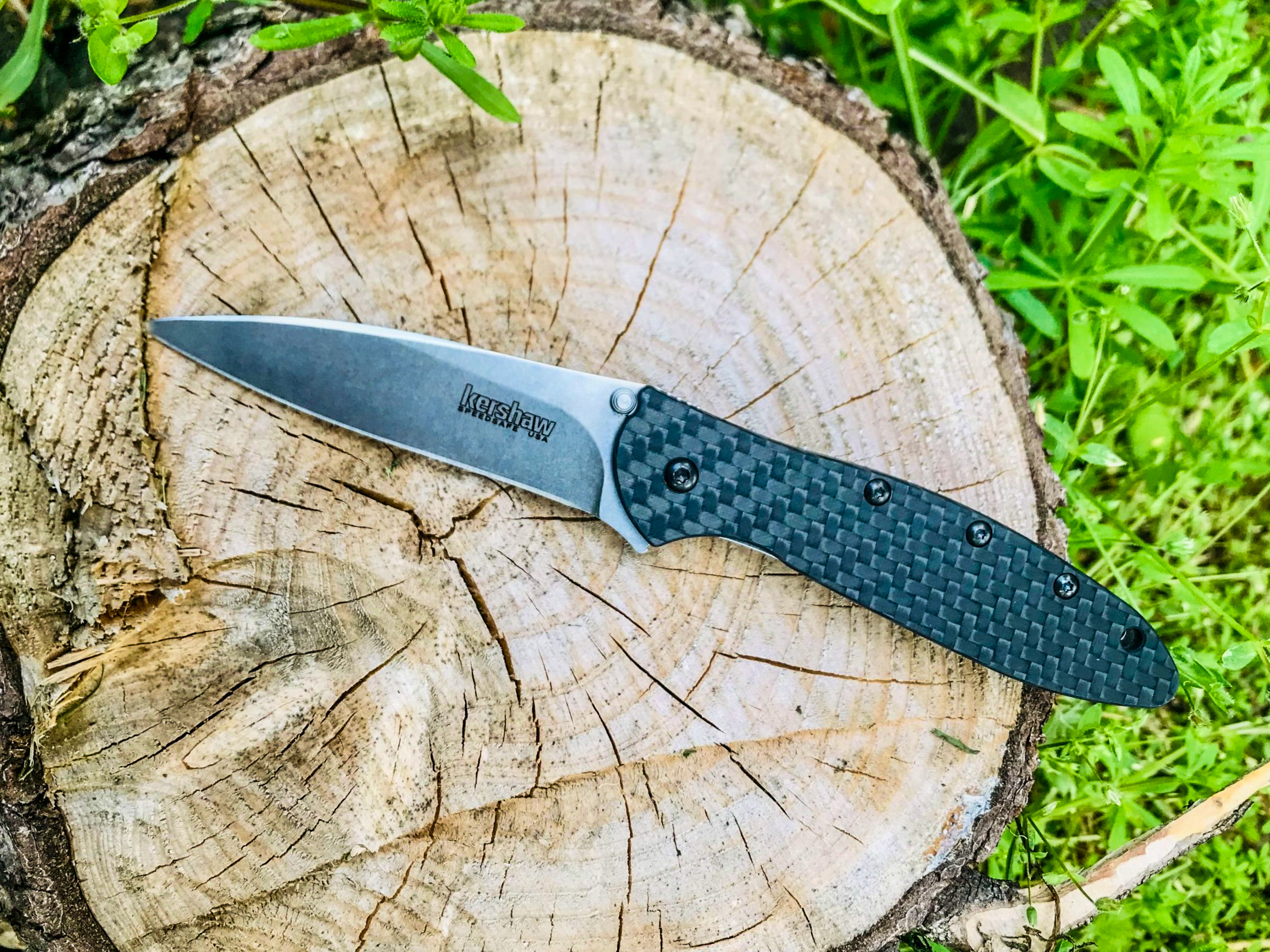 Kershaw Leek