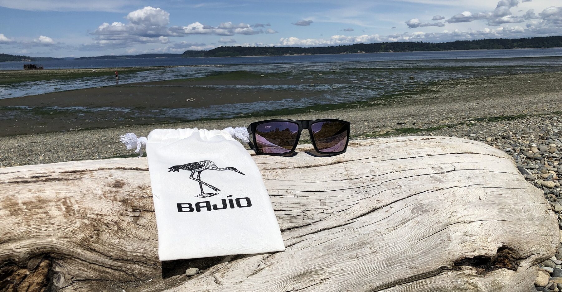 Bajio Stiltsville on log with Bajio bag